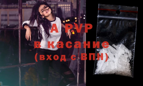молекула духа Аркадак
